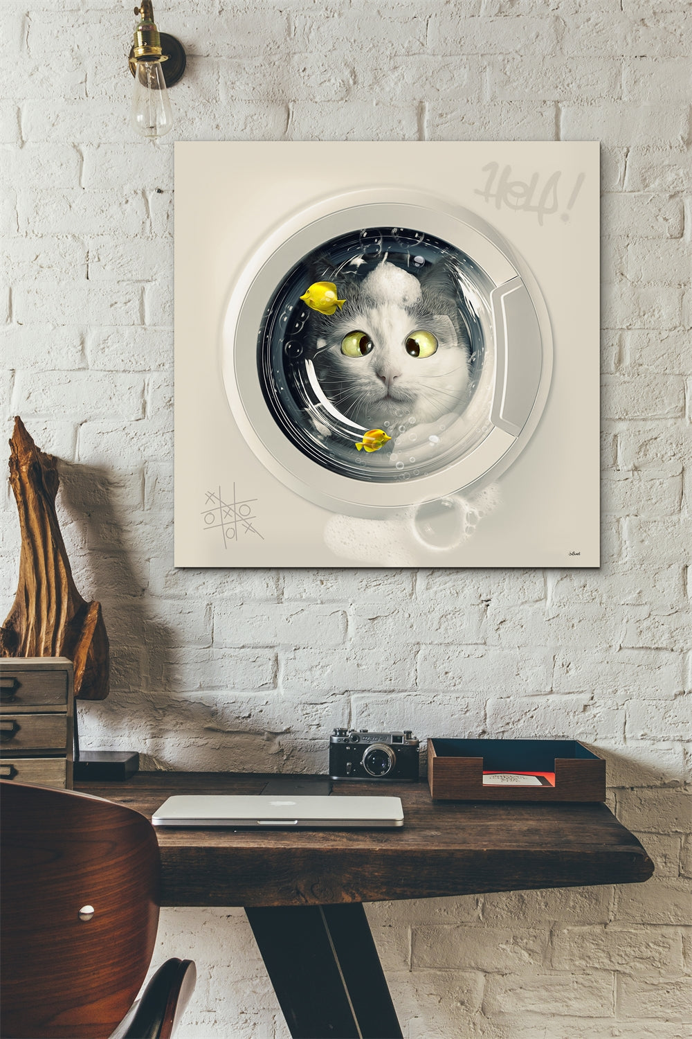 Cat Wash
