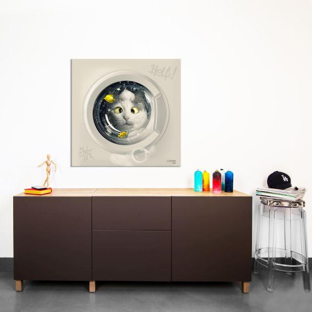 Cat Wash