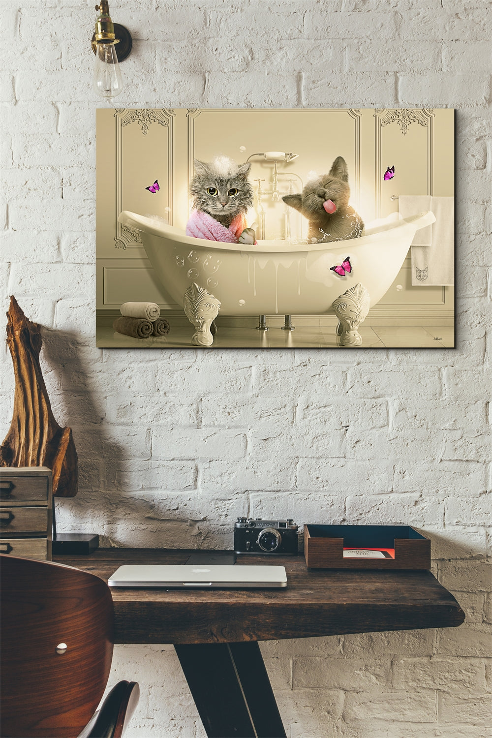 Cat Bathtub