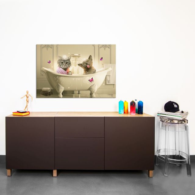 Cat Bathtub