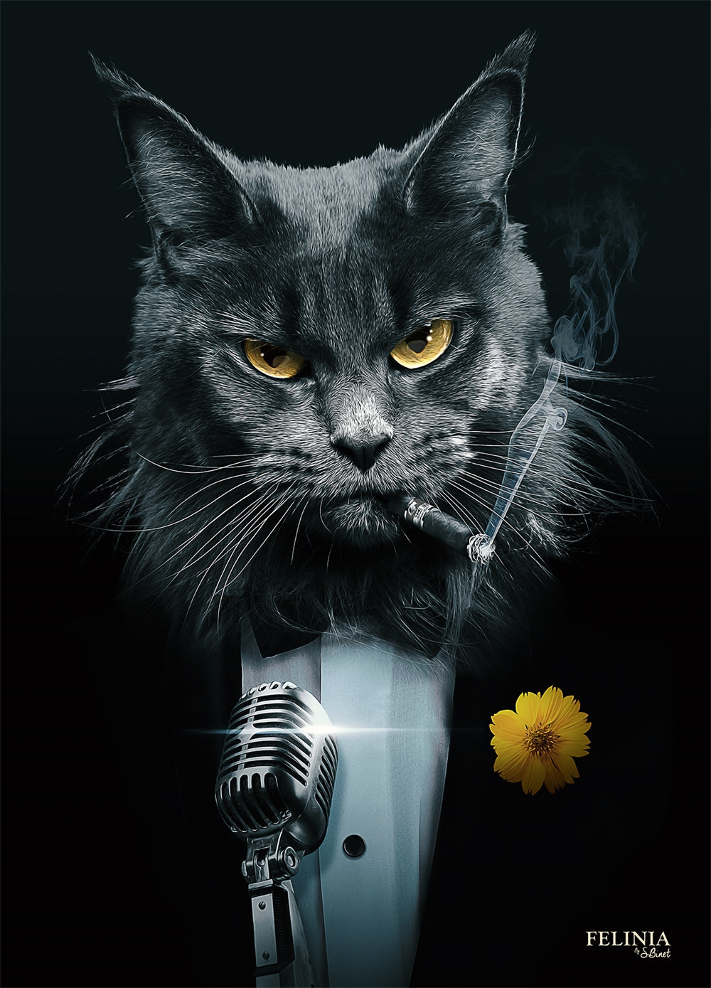 Cat Crooner