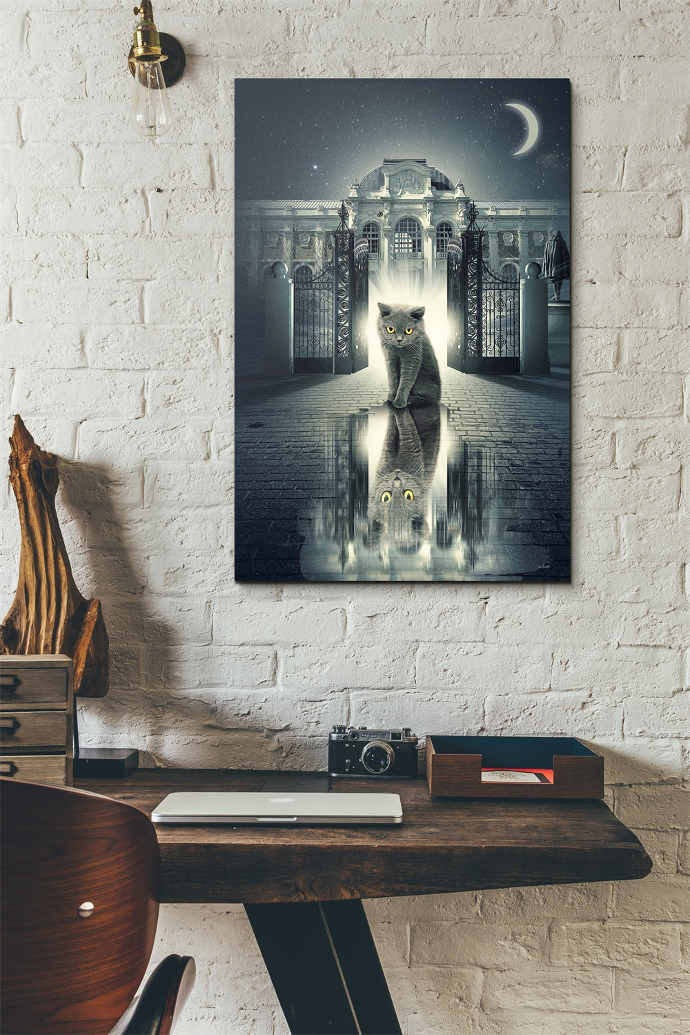 Chat Reflet