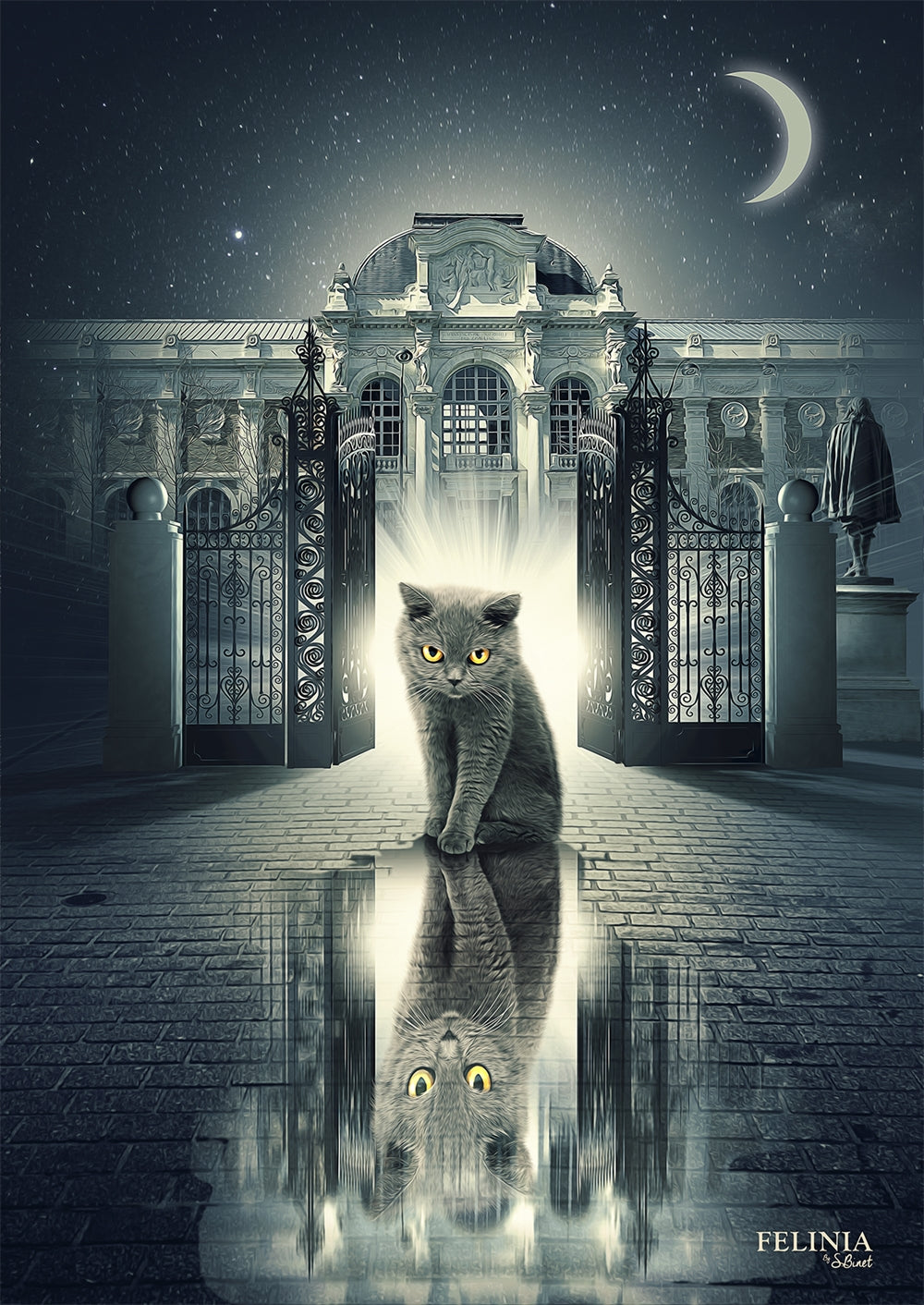 Chat Reflet