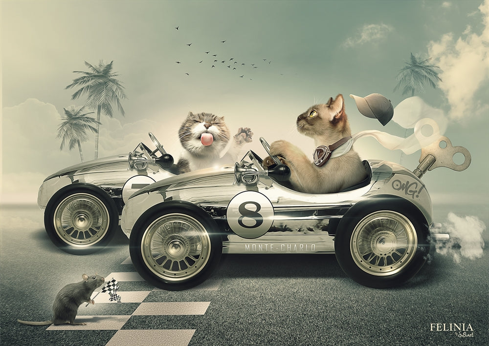 Chat Rider