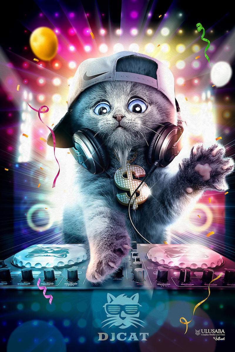 DJ Cat