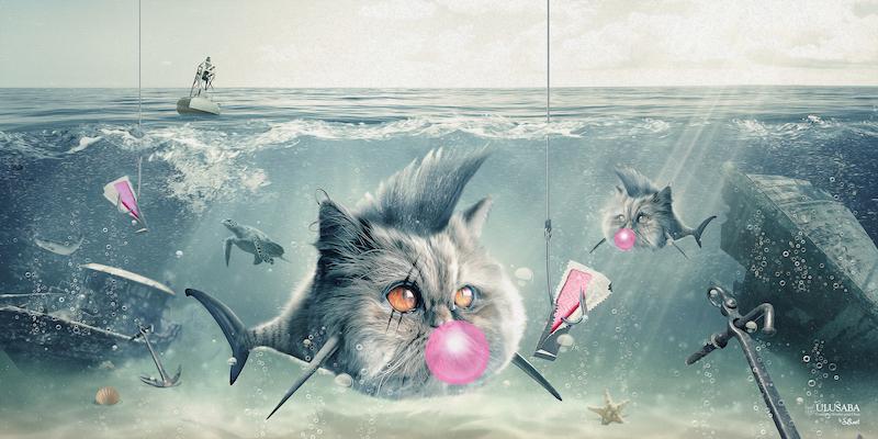 Le Chat-Thon