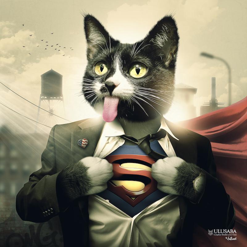 Super Cat