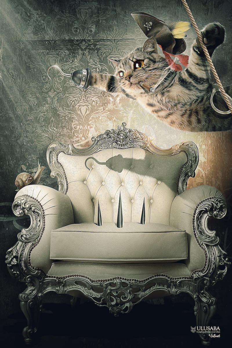 Pirate des Charaïbes