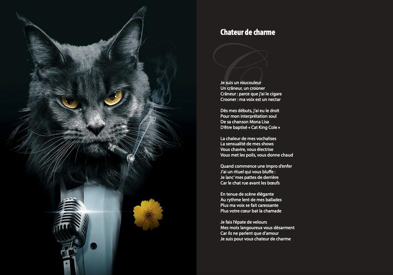 Livre - Les Chats